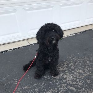 Meet your Posher, Nate